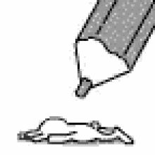 IMG_20240715_103924_01.gif