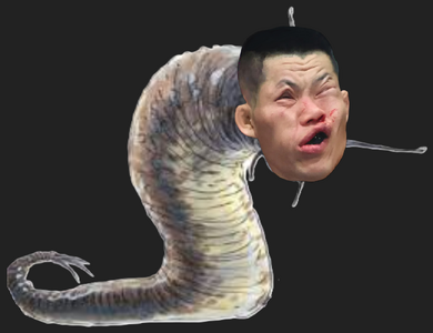 1724091565129.png