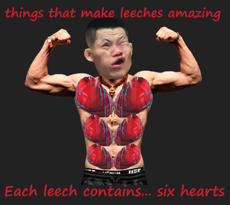 1724124257690.png