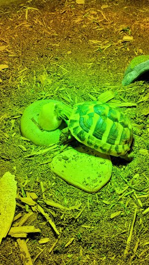 20240825_214048.jpg 20240825_214048.jpg