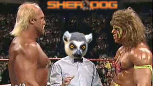 1722537415634.jpeg 1722537415634.jpeg