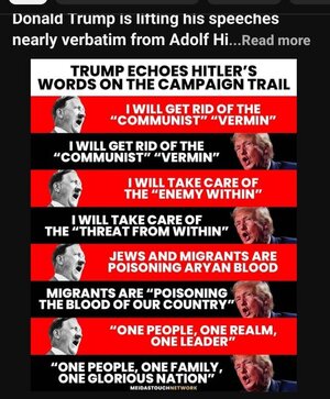 vermin.jpeg