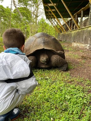 IMG_0545.jpeg IMG_0545.jpeg