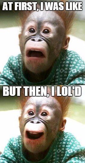 1000015873.jpg 1000015873.jpg