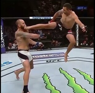 werdum kick 1.jpg