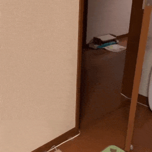 77K77.gif
