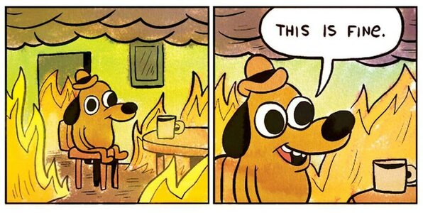 this-is-fine_custom-b7c50c845a78f5d7716475a92016d52655ba3115.jpg