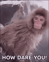giphy(3).gif