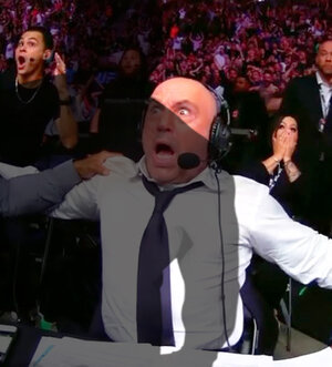 HoganAndMike.jpg