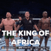 king of africa.gif