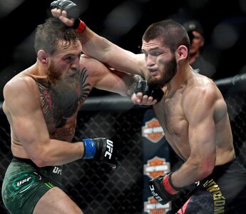 nnççnççn363663 2.jpg