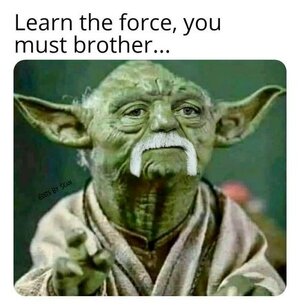 PhDQFlN_d.jpeg PhDQFlN_d.jpeg