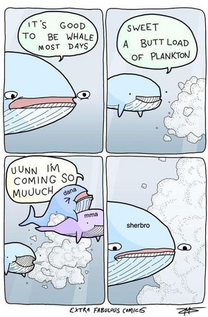 1734561133254.png