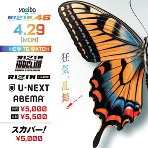 68bccb65e4e9a10cd67c4b8534062de4a2b8637d_large.jpg 68bccb65e4e9a10cd67c4b8534062de4a2b8637d_large.jpg