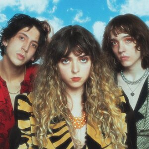 TheVelveteers-2021-sq.jpeg