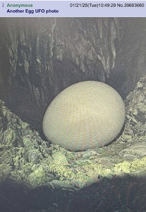 2-more-alleged-egg-uap-craft-photos-v0-c0l8w6338eee1.jpg