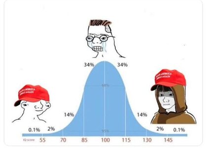 images-10.jpeg