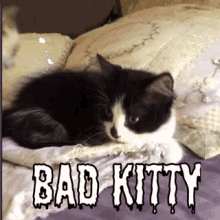 bad-kitty.gif