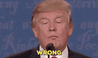 200w-2.gif