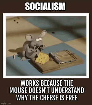 1744145875113.png