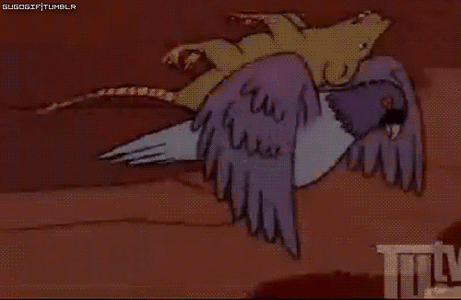 tumblr_mrakwmxCDD1s1vt4mo1_500 (1).gif