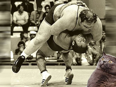 1744735988356.png 1744735988356.png