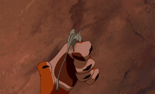 CCC6AE64-6A5C-4F3C-A118-30C5D3215D49.gif