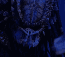 predator2-predator.gif