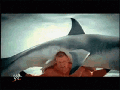 brock-lesnar-carry-a-heavy-shark-yd0umnw6h9hroaov.gif
