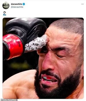 1745729406194.jpeg