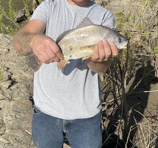 IMG_1442.jpeg IMG_1442.jpeg