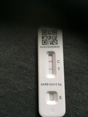 thumbnail (2).jpg