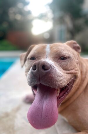 491956503_9896184857100012_968771960737740865_n.jpg 491956503_9896184857100012_968771960737740865_n.jpg