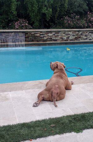 491954953_9896184710433360_7817779597961881943_n.jpg 491954953_9896184710433360_7817779597961881943_n.jpg