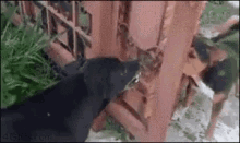 1746637502110.gif