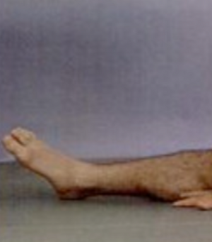 1746637923915.png 1746637923915.png