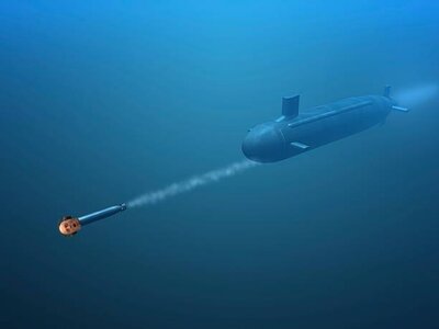 istockphoto-146069991-612x612 (1).jpg