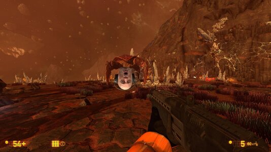 20210131133318_1 (1).jpg