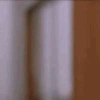 1746887336602.gif
