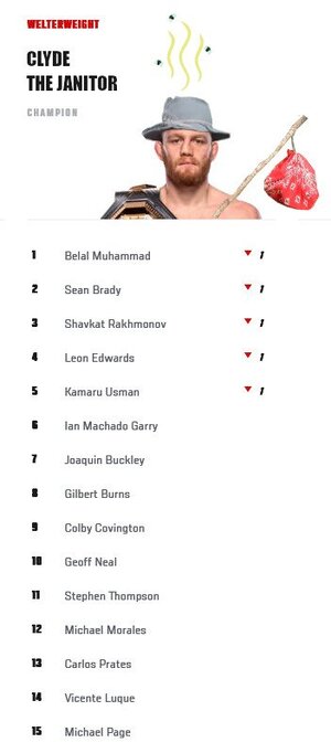 Clyde the Janitor UFC Rankings Division Rankings WW.jpg