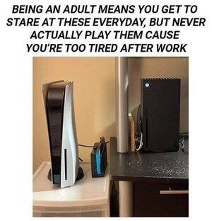 IMG_2321.jpeg