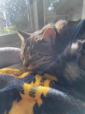 rocket blanky.jpg