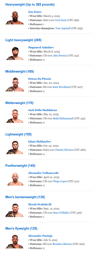 UFC Mens champions.png