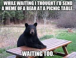 waiting memes bear | To Save A Life waiting memes bear | To Save A Life