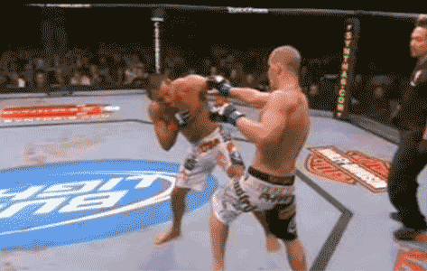 1000018585.gif