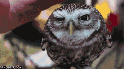 30189d2567637bed71bad80cf00a18b6.gif