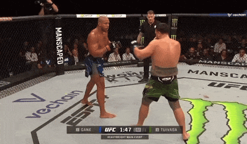 cyril-gane-tai-tuivasa.gif