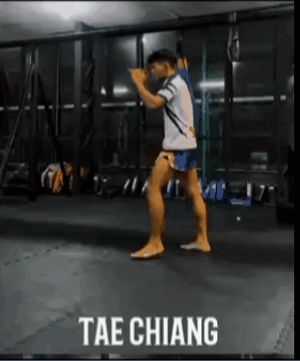 tae chiang.gif