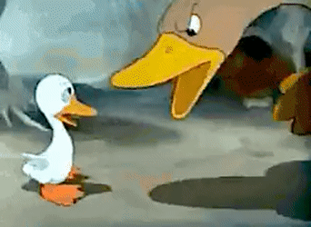 who are you duck gif.gif