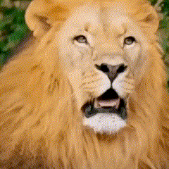 Untitled video - Made with Clipchamp.gif